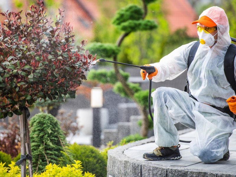 Kumluca Haşere İlaçlama